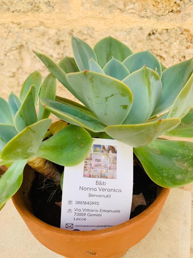 Nonna Veronica Gemini  Eksteriør billede
